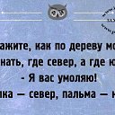 ���� ������, ���� - ��������� 11 ������ 2021 � ������ ���������