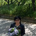 ���� ������, �����������, 47 ��� - ��������� 10 ��� 2021 � ������ ���� ����������