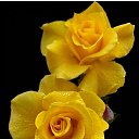 ���� ����, ���� - ��������� 6 ������� 2021 � ������ ���� ����������