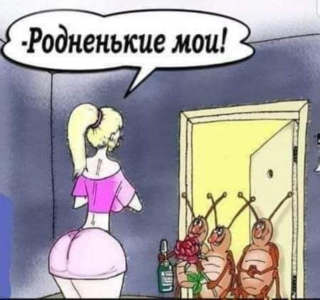  - 5  2022  01:35