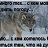 ���� Sila, �������� - ��������� 22 ������ 2022