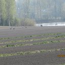 ������ ����������. ������ ����� � ������� � ������ ���� �������� �� ������ ����. ���� ������ �� ���� � ���� ������� ������ ����� � �����, �� ��������� ������� �������, ���� � �� ������������, �� ��� ������... �� ������� ������