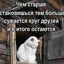 ���� ��������, ������ - ��������� 11 ������� 2021 � ������ ���� ����������