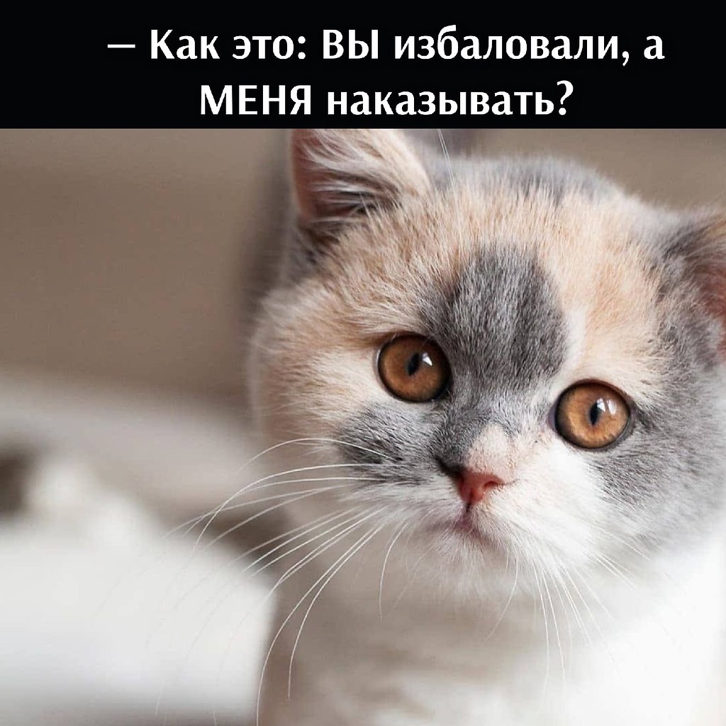       - 20  2021  21:59 - 3