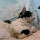 ���� Sergey, ����-�����������, 49 ��� - ��������� 21 ���� 2021 � ������ ���� ����������