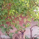 ���� ����, ����, 47 ��� - ��������� 23 �������� 2021 � ������ ���� ����������