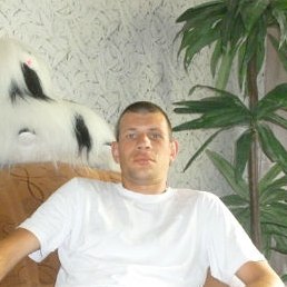 �������, �����, 41 ���