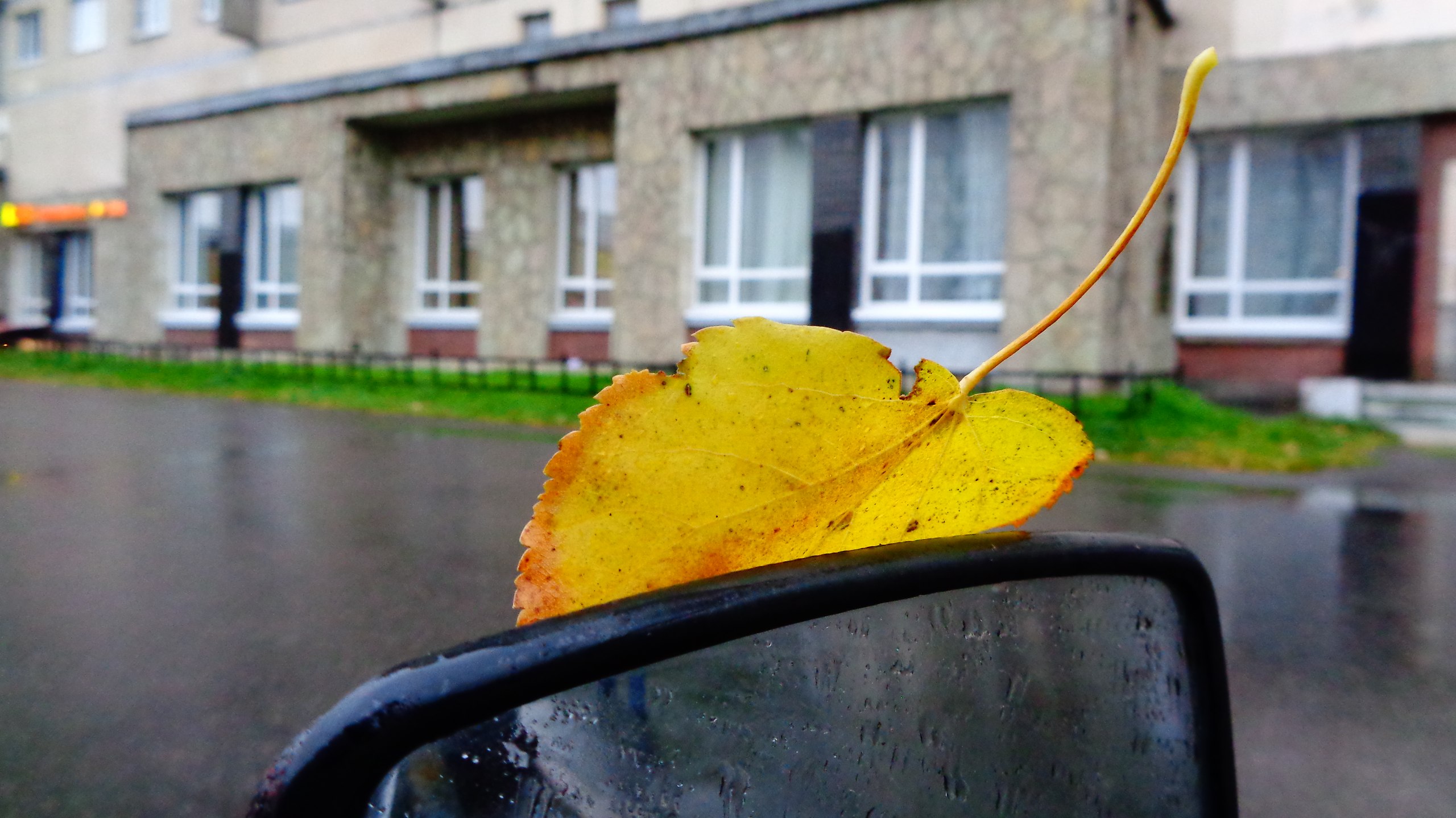   - 26  2021  07:19 - 3