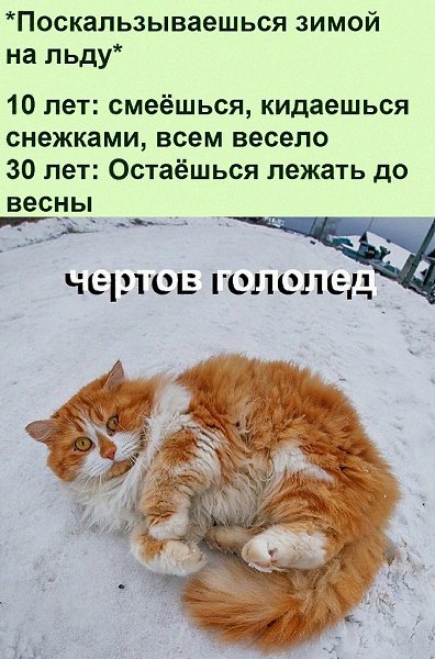   :D - 4  2022  08:43