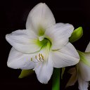 ���� �������, ����������, 51 ��� - ��������� 25 ������� 2021 � ������ ���� ����������