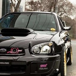 ���� �����, ��������, 43 ���� - ��������� 1 ������ 2021