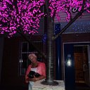 ���� ������, �����-��������� - ��������� 3 ������� 2021 � ������ ���� ����������