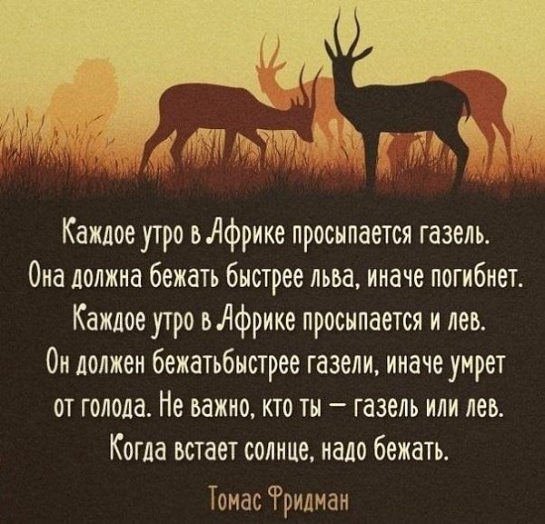 Когда встает солнце - надо бежать!