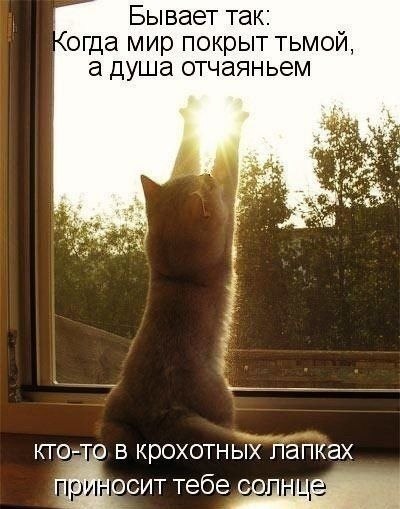    - 23  2021  03:32