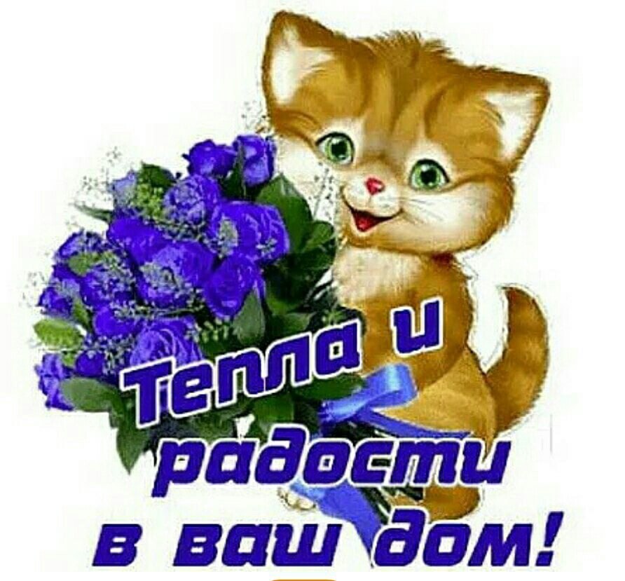  - 28  2021  06:43
