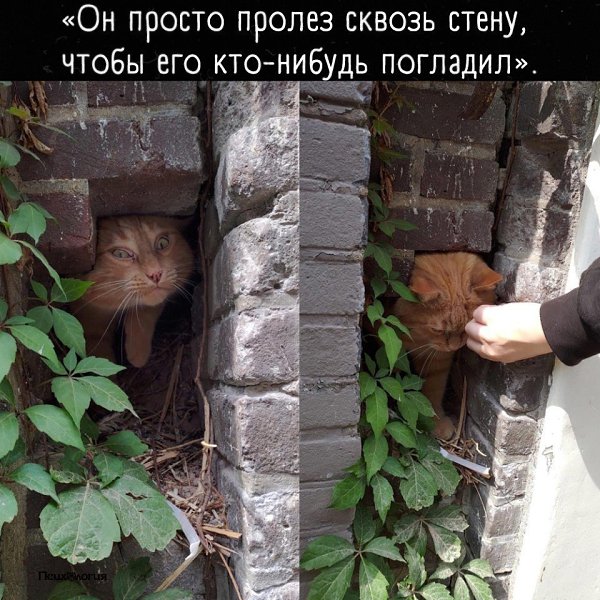 Смотрела фотографию с мыслями: