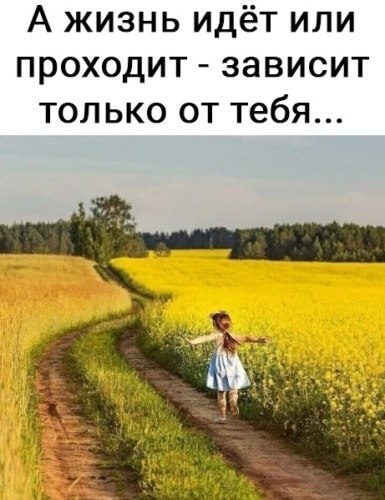   ! - 24  2021  12:37