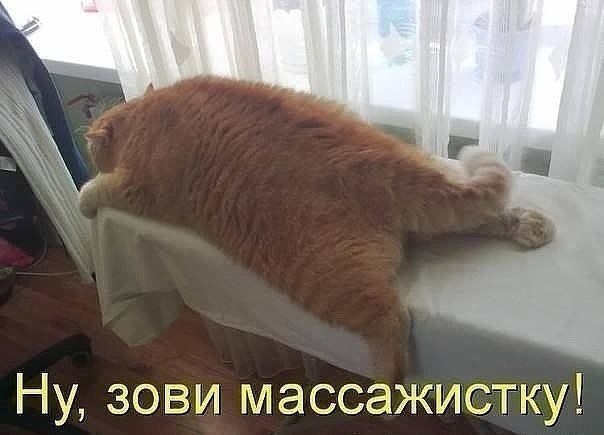    - 3  2022  06:24