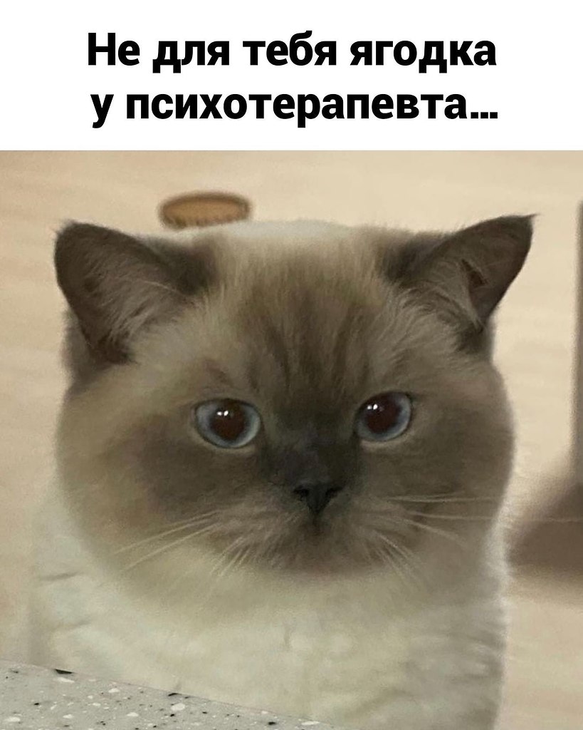 А вот нечего. А вот нечего