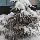 ���� ��������, ������, 56 ��� - ��������� 6 ������ 2022 � ������ ���� ����������