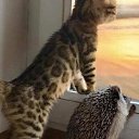 ���� ����, �������, 70 ��� - ��������� 14 ������� 2021 � ������ ������ ��������