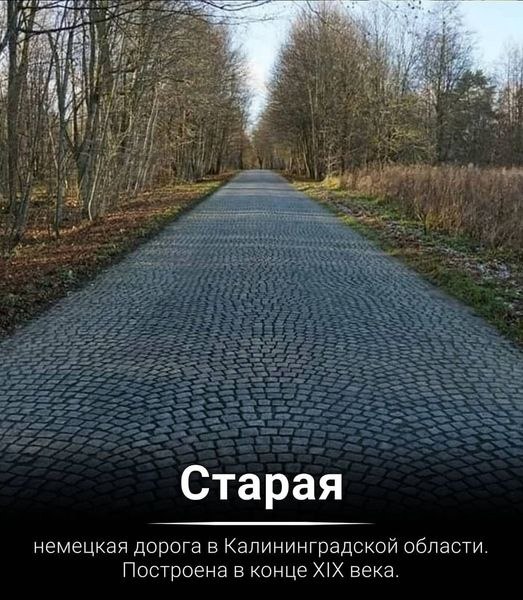  - 6  2021  18:31