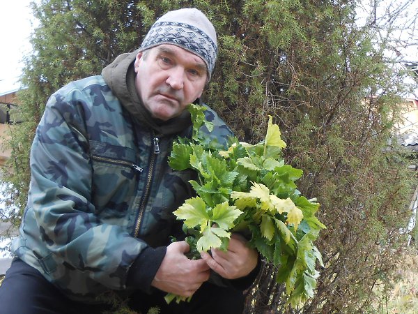 Gennadiy Starikoff - 8 ������ 2021 � 23:54