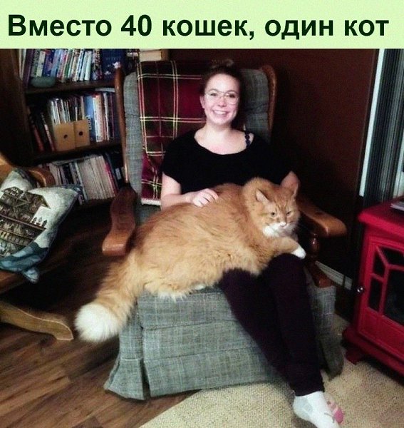   :D - 10  2022  12:37