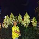 ���� �������, ��������, 69 ��� - ��������� 20 ������� 2021 � ������ ���� ����������