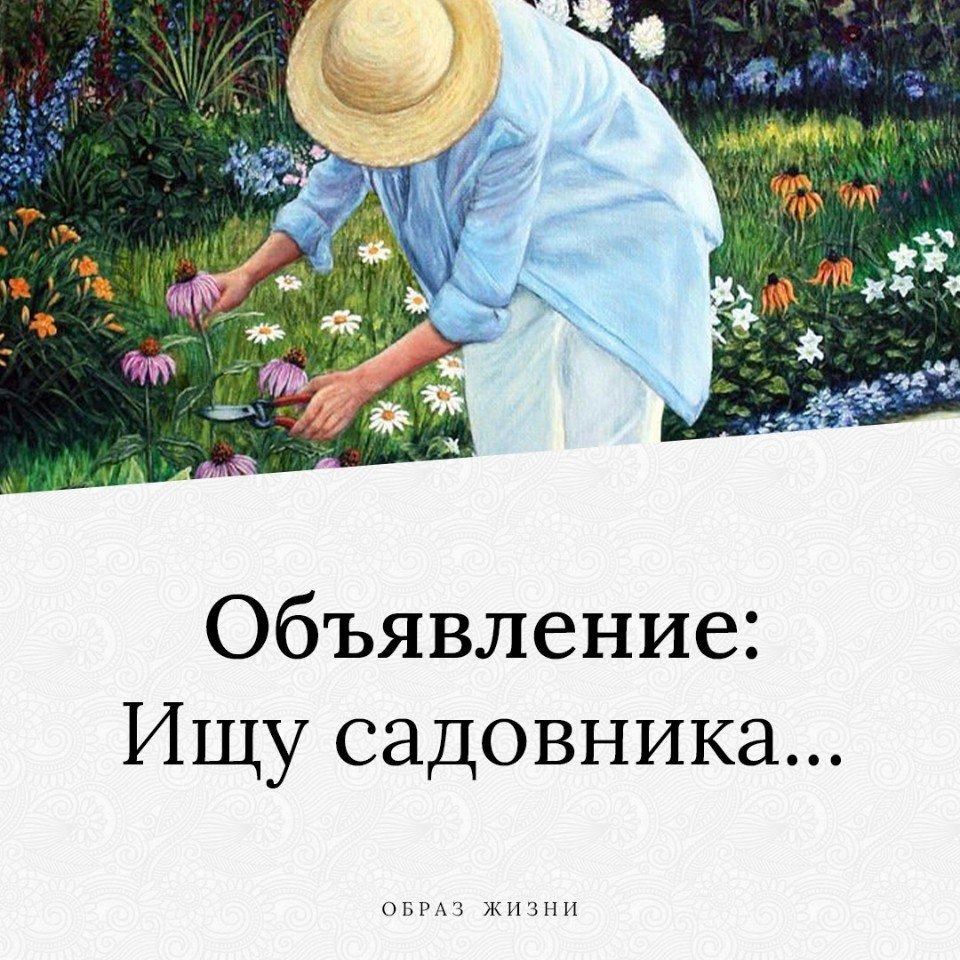 Ищу садовника