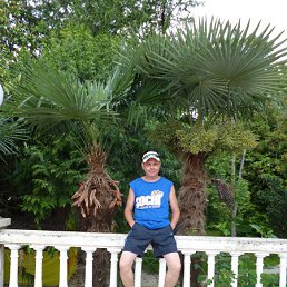 �������, ������, 47 ���