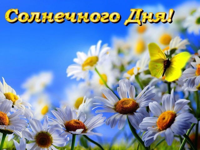   ,    . - 4  2021  12:18 - 3