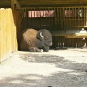 ���� ������, �����-��������� - ��������� 19 ������� 2021 � ������ �...�