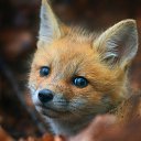 ���� ������, �������� - ��������� 29 ������� 2021 � ������ ���� ����������