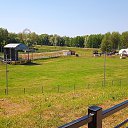 ���� �������, ���������, 44 ���� - ��������� 19 ���� 2021 � ������ �19.06.2021 - ����������