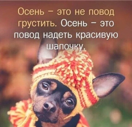   ! - 19  2021  11:13