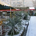 ���� ��������, �����������, 84 ���� - ��������� 4 ��� 2021 � ������ ���� ����������