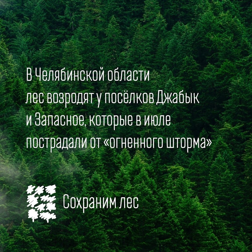 Жаркое лето 2021 года не прошло бесследно. В России, как и ... | Идеи для  жизни | Фотострана | Пост №2381158315