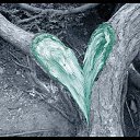 ���� �����, �����, 56 ��� - ��������� 24 ������� 2021 � ������ ���� ����������