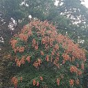 ���� ����, ������, 50 ��� - ��������� 26 �������� 2021 � ������ ���� ����������