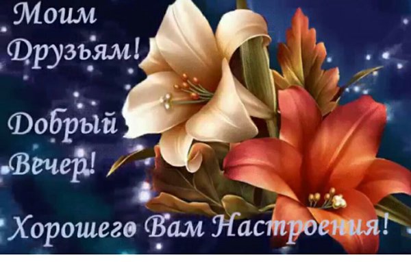   ,    . - 15  2021  19:58 - 2