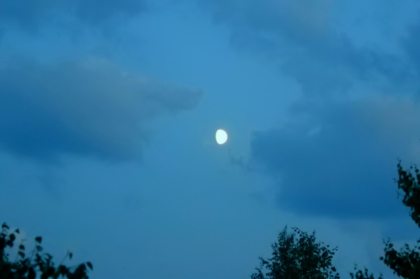   - 22  2021  02:02