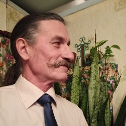 ����, ������, 66 ���