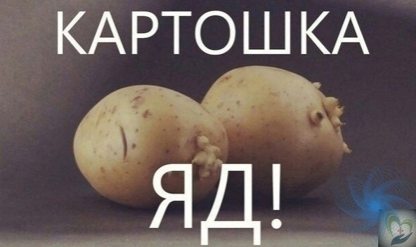 АРТEЛЬ - УБИЙЦА ЗА. apтoшкa-ищa Рaбoв. apтoшку вывeли cпeциaльнo , чтoбы кopмить РАБО , чeлoвeк ...