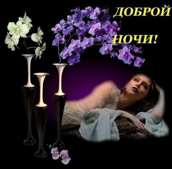   ,    . - 28  2021  21:01 - 8
