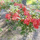 ���� ����, �����-���������, 68 ��� - ��������� 9 ���� 2021 � ������ ����� 2021�