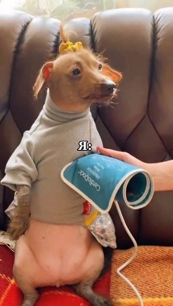     20 - 2