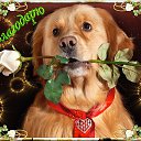 ���� �������, ������, 60 ��� - ��������� 27 ������� 2021 � ������ ������ ��������