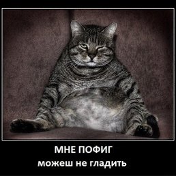 ���������, ������, 49 ���