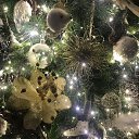 ���� �����, ������������, 42 ���� - ��������� 28 ������ 2022 � ������ ������ ���)�